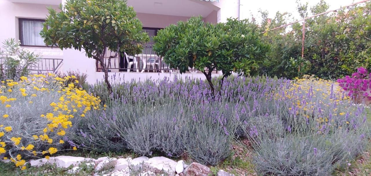 טרוגיר Holiday Home Ruzmarin מראה חיצוני תמונה